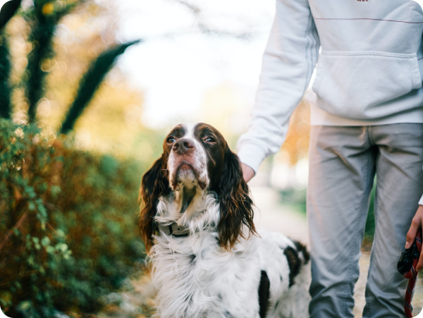 eddie-junior-gX5mIjO5uEA-unsplash 1 eddie-junior-gX5mIjO5uEA-unsplash 1