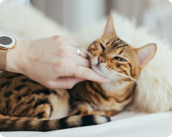 paul-hanaoka-C0zDWAPFT9A-unsplash paul-hanaoka-C0zDWAPFT9A-unsplash