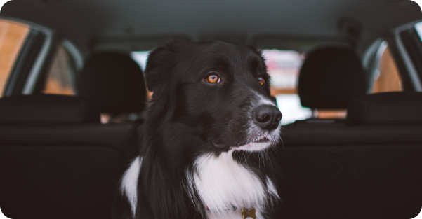 tadeusz-lakota-TrlHGvVLtbA-unsplash tadeusz-lakota-TrlHGvVLtbA-unsplash